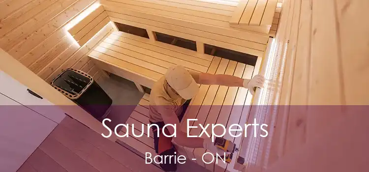 Sauna Experts Barrie - ON